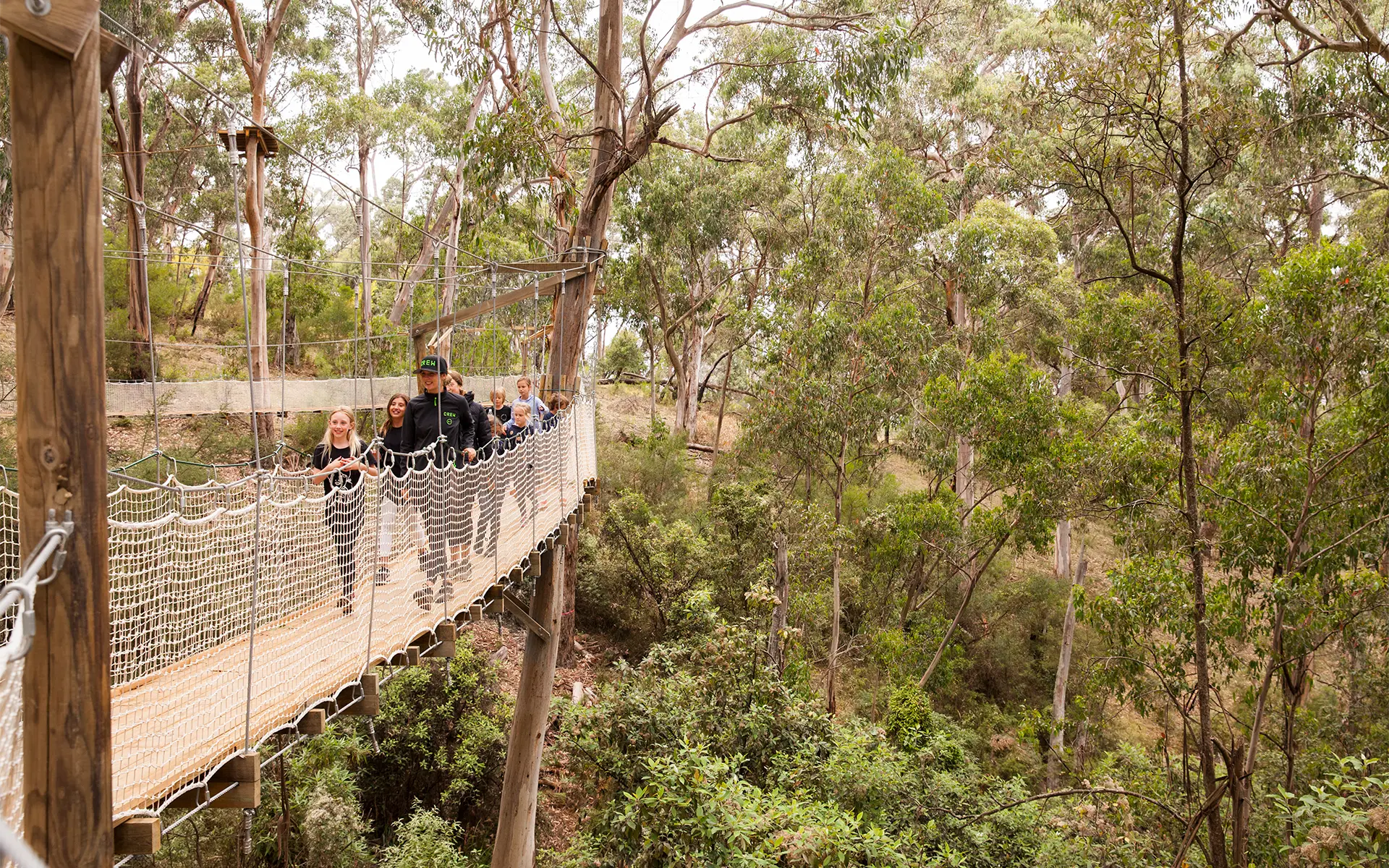 Canopy Circuit 2